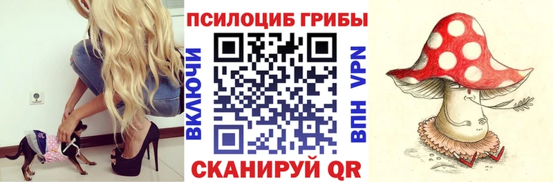 гидра ТОР цены Бологое Галлюциногенные грибы мицелий